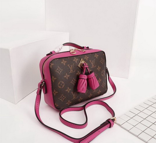Lu bags 2020-10-28-459